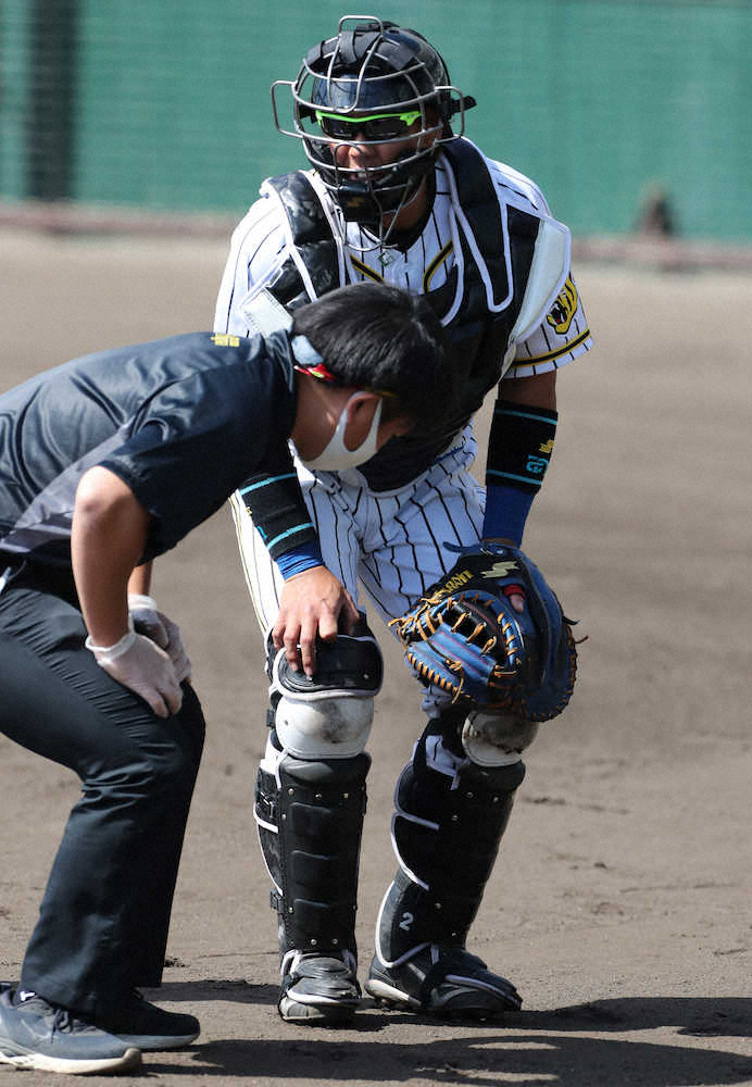 【画像・写真】阪神・梅野が別メニュー調整　前日広島戦でのファウルチップ直撃の影響　大事には至らず