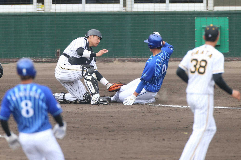 【画像・写真】【内田雅也の追球】「受け」の強さ生む準備
