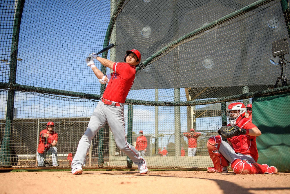 【画像・写真】エンゼルス・大谷、異例の“早”打ちで快音連発！　全体練習開始から2日目に打席へ