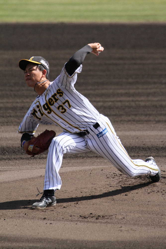 【画像・写真】若虎はスクスク成長中　阪神・及川が5回1失点　熊谷、ドラ7高寺がマルチ安打