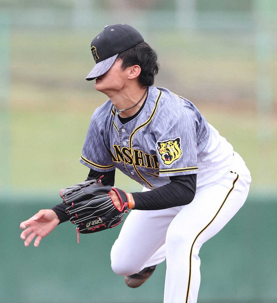 【画像・写真】阪神・西純　開幕ローテへまた一歩前進　2回無失点に「打者に向かっていくこと意識した」