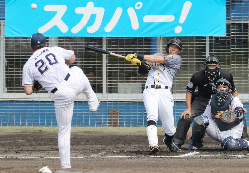 【画像・写真】阪神・糸井　実戦4試合目で今春初タイムリー　ヤクルトのドラ1木沢&ドラ2山野撃ち　ベテラン健在