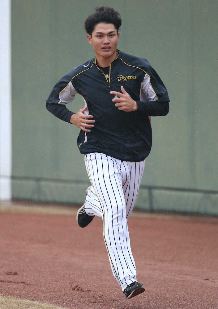 【画像・写真】阪神・西純が9日の広島戦に登板　今季初の甲子園　「聖地」で開幕ローテ入りをアピールする
