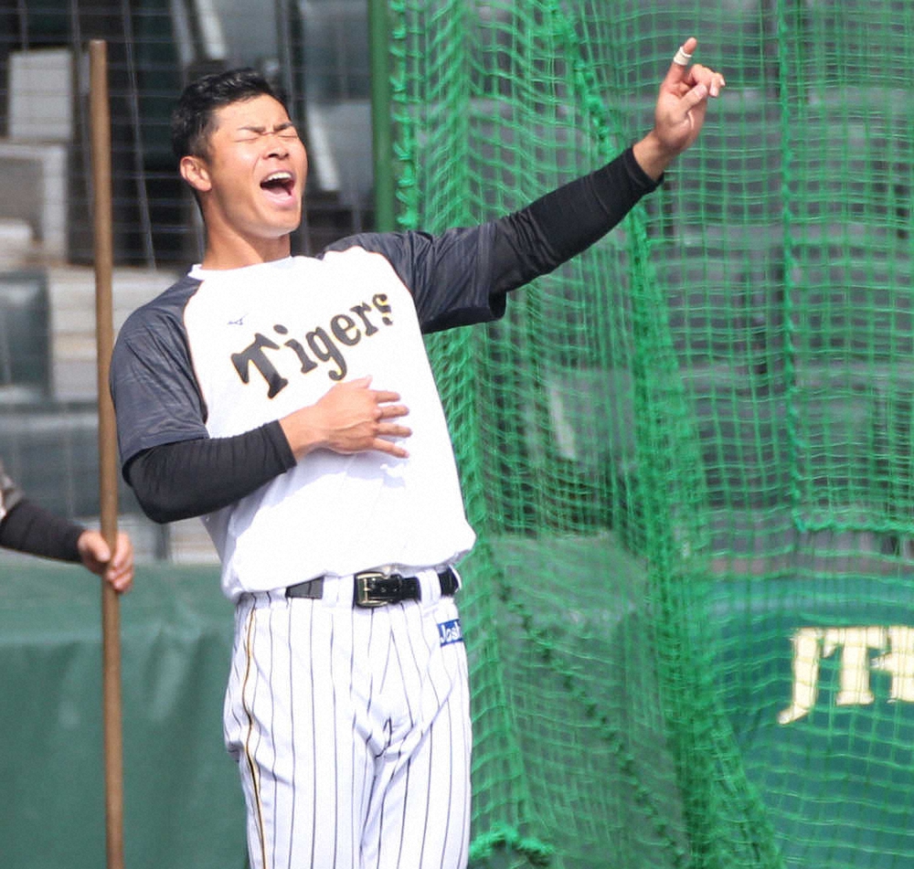 【画像・写真】青柳VS高橋礼の投げ合い　2番・佐藤輝は2試合連続弾なるか　ソフトバンク―阪神スタメン