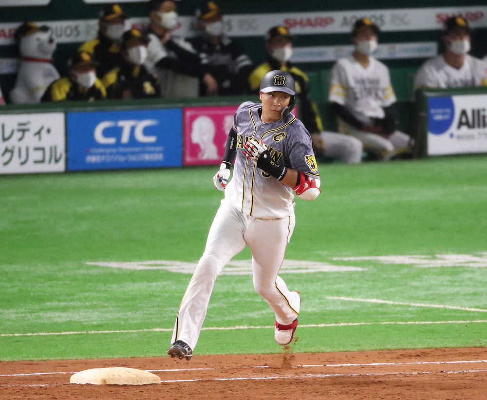 【画像・写真】これが猛虎の4番だ　阪神・大山が自身最速弾！「一発は流れを変える」