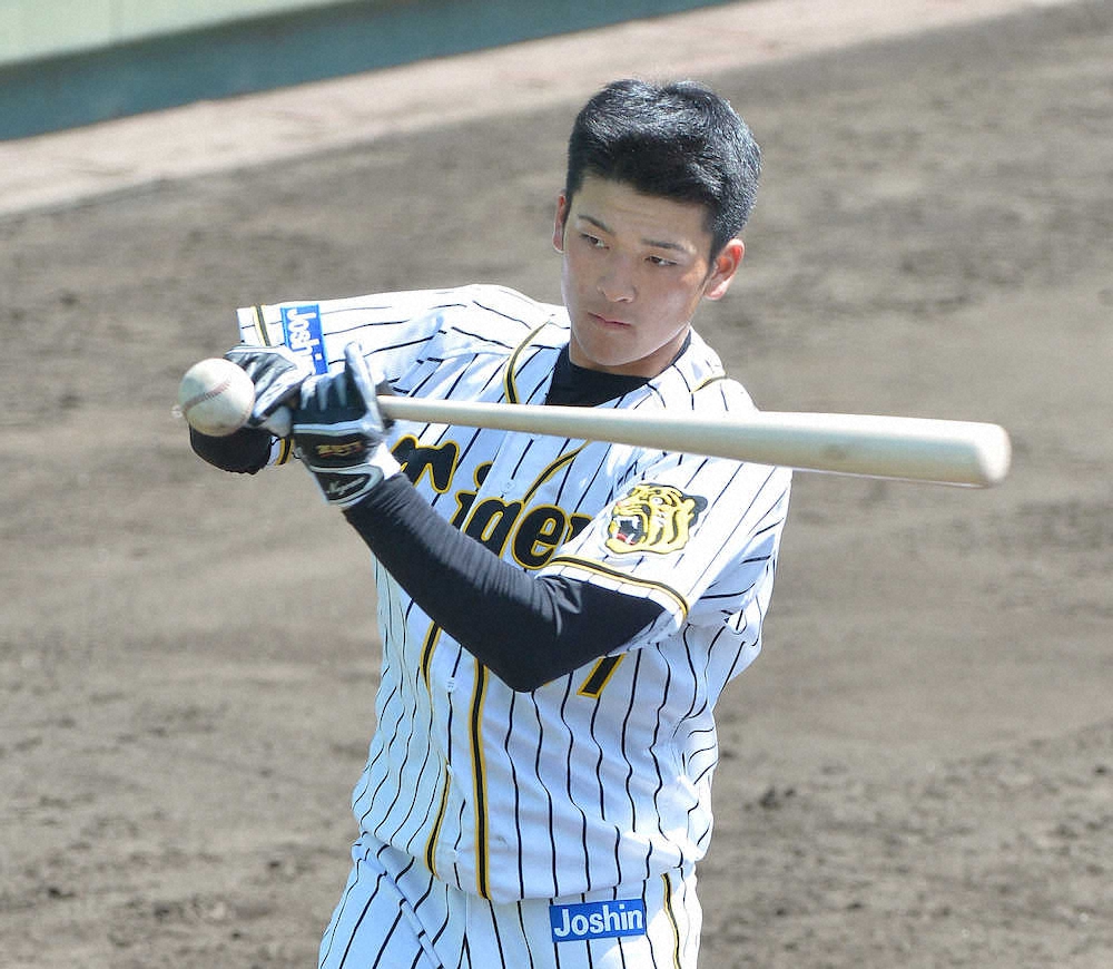 【画像・写真】阪神・高寺　まずは2軍戦で「打率3割以上」目標　平田2軍監督はハッパ「1軍で首位打者」目指せ