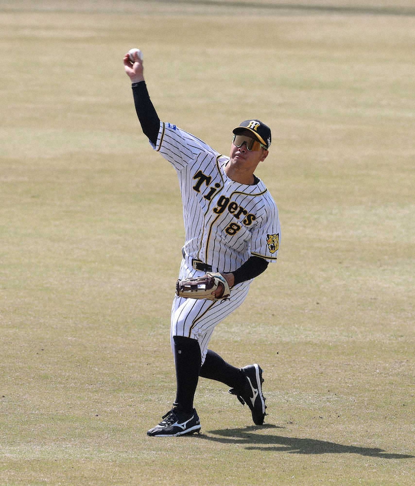 【画像・写真】「3・26」へ万全仕上げだ　阪神・佐藤輝が全体練習合流　24日に打撃も再開！