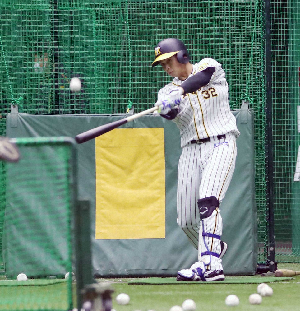 【画像・写真】阪神・井上が24日に実戦復帰　キャンプ中に痛めた左膝が回復