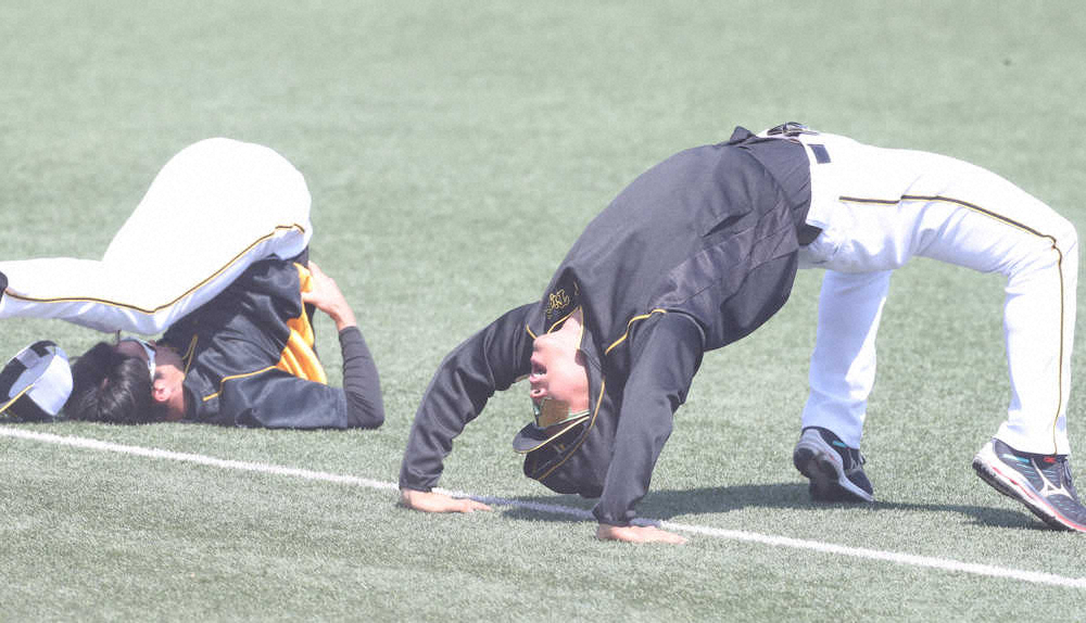 【画像・写真】「あかん、優勝してしまう」　初本塁打の阪神・佐藤輝の“衝撃”　SNS上でも広がる　「佐藤の会」も祝福