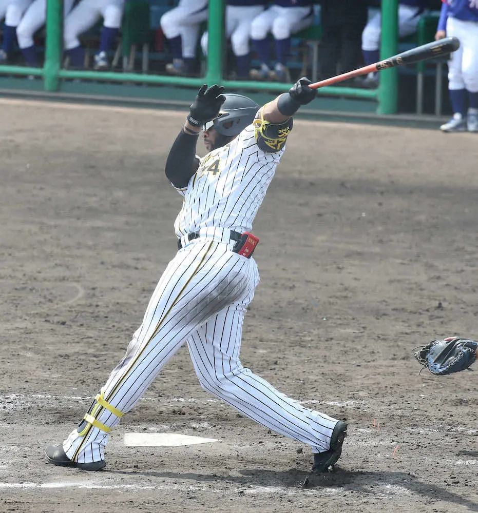【画像・写真】阪神・ロハス　ドラフト候補左腕から来日1号弾！「思っていたよりも状態はすごくいい」