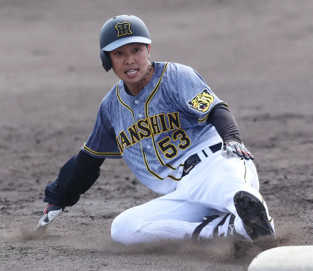【画像・写真】阪神　4年目島田が今季1軍初合流　俊足に期待　小野寺が抹消へ