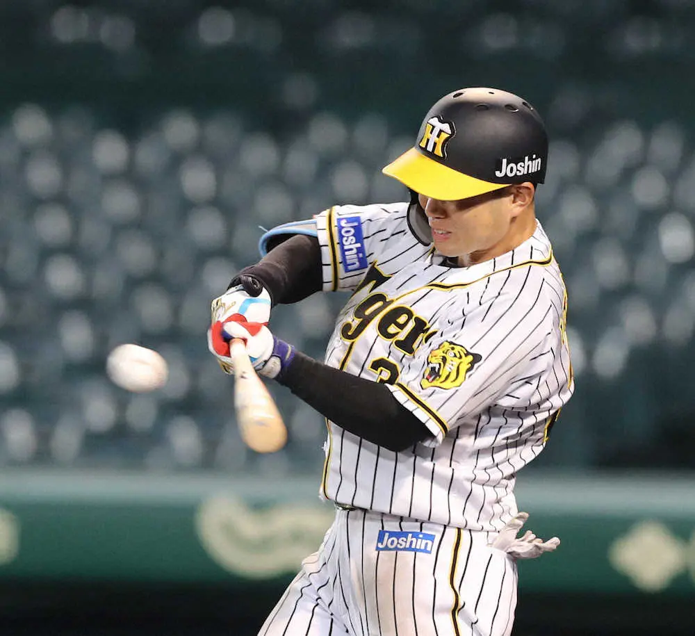 【画像・写真】“進撃の”阪神・糸原　早くも10度目マルチ　「試合に勝つことが一番のファンサービス」