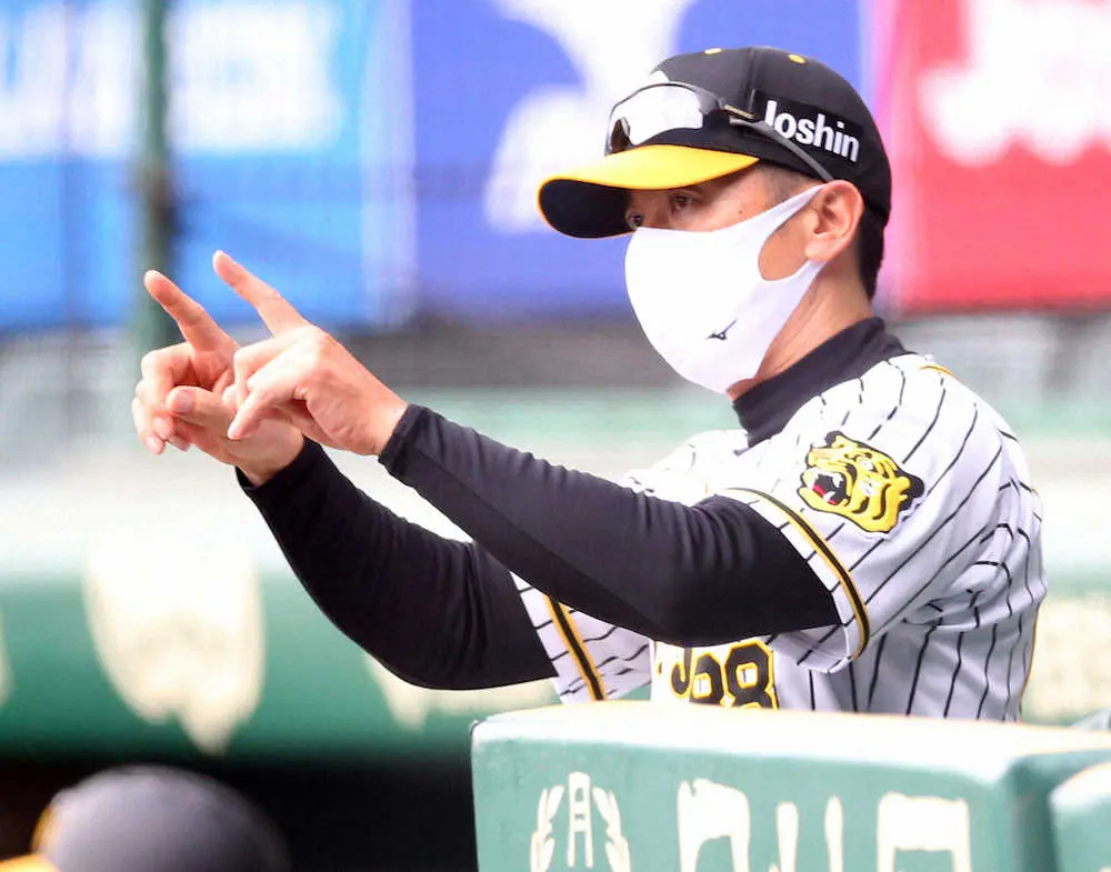 【画像・写真】阪神・矢野監督はアルカンタラ昇格に“待った”「もう1回はファームで投げることになる」