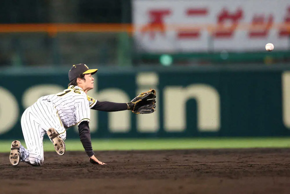 ＜神・中＞5回無死一塁、京田の打球を横っ飛びで好捕し、グラブトスで二封する中野（撮影・北條　貴史）