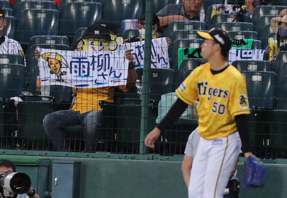 【画像・写真】阪神の「雨柳さん」無念　待望の21年甲子園初先発がまたも雨で流れる　中日戦は天候不良で中止