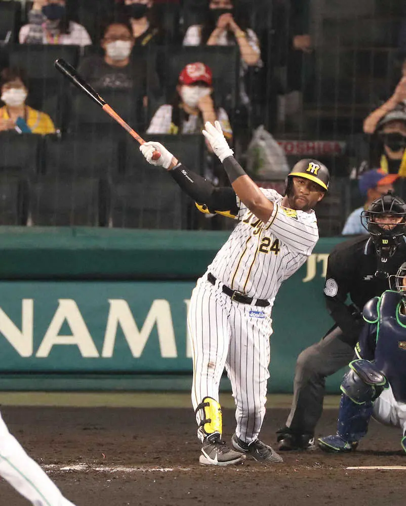 【画像・写真】広澤克実氏　阪神ロハスは間違いなく打つ!!　21打席無安打は実戦不足　助っ人1番手まで期待できる