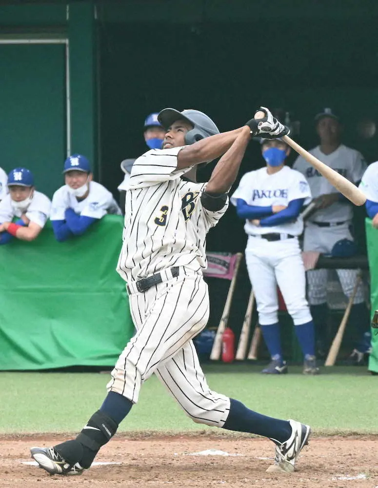 【画像・写真】上武大　2季連続35度目V！ブライト最高殊勲選手賞、父はガーナ人