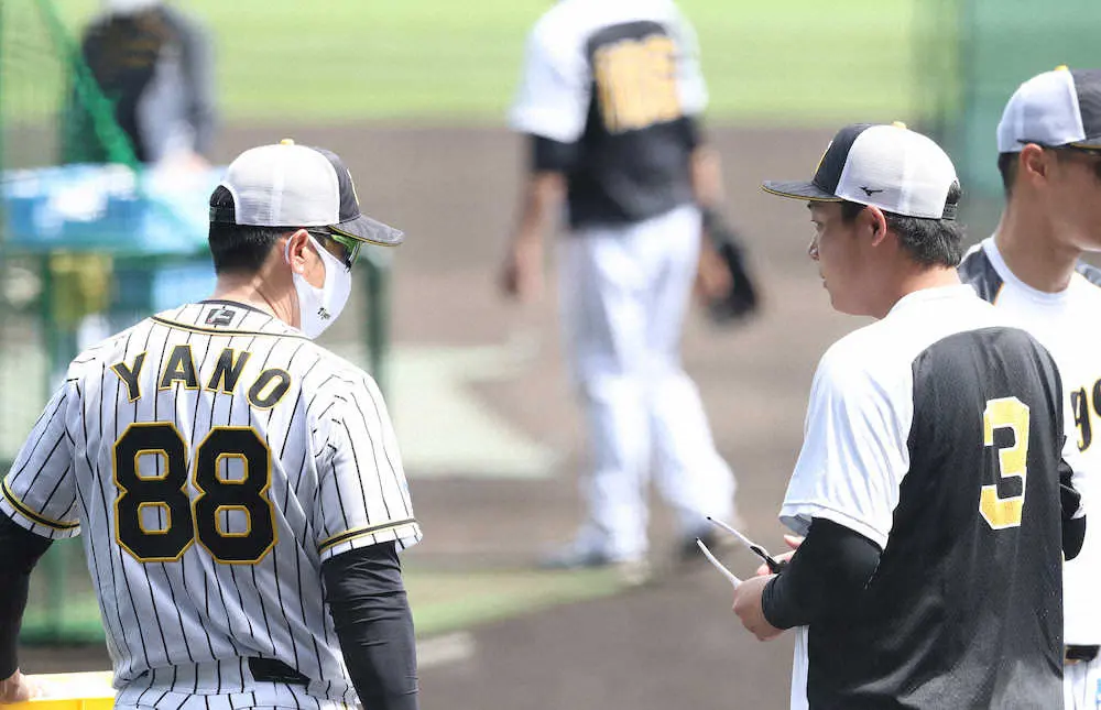 【画像・写真】阪神　主砲・大山が20日ぶり「4番・三塁」古巣初対戦の鳥谷はベンチスタート