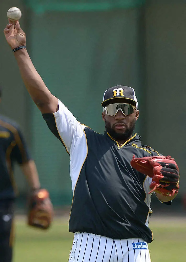 【画像・写真】打撃不振で登録抹消　阪神・ロハス「状態を上げていけるように」2軍で実戦感覚取り戻す