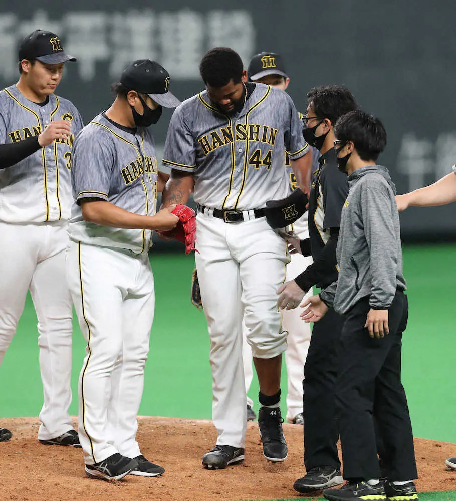 【画像・写真】阪神・アルカンタラ、不運…7回に打球が左すね付近を直撃し降板　6回まで無失点投球