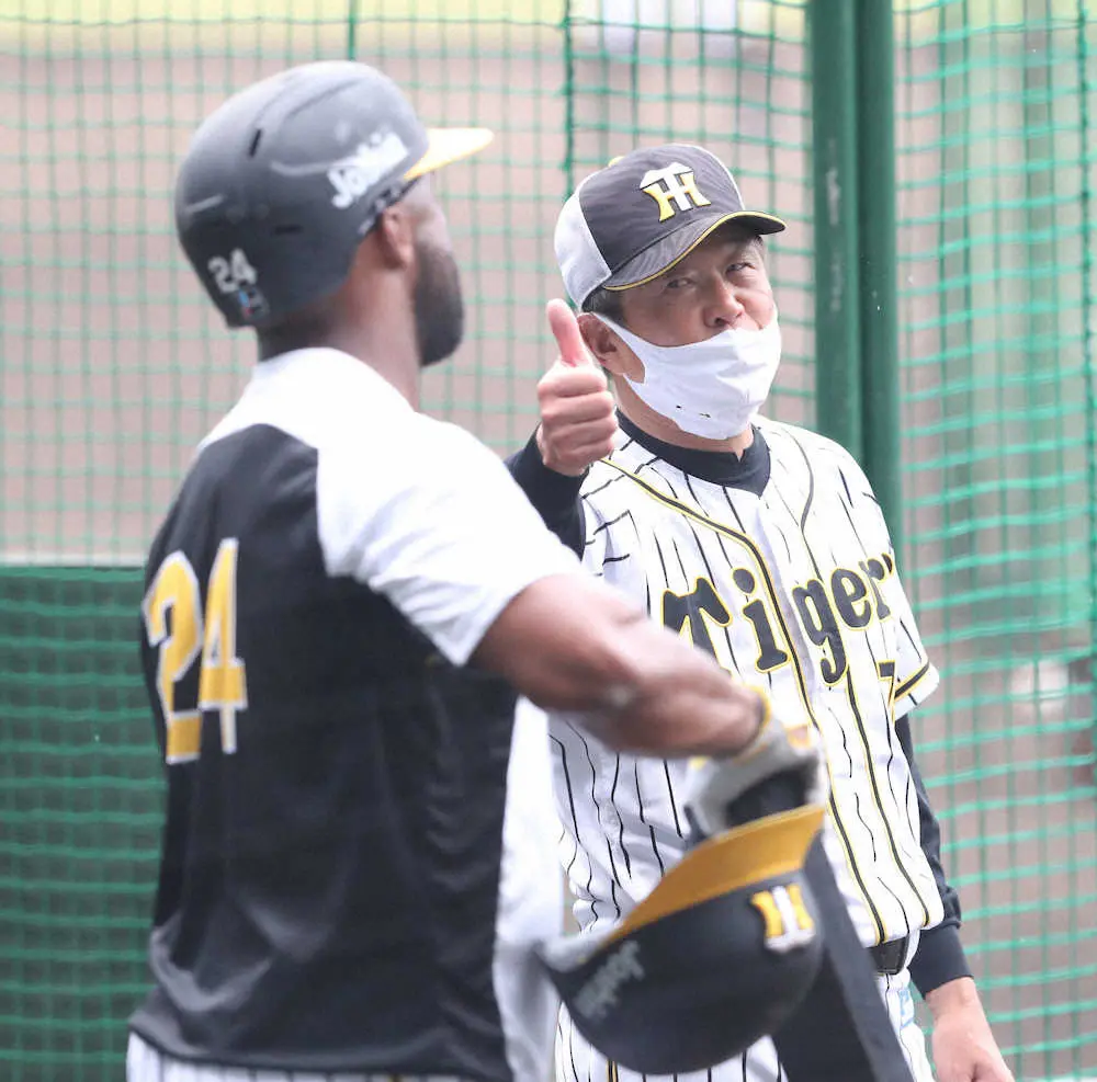 【画像・写真】阪神・平田2軍監督　ロハスの一撃「完璧どころじゃない」　真面目な性格もグー！昇格へ後押し約束