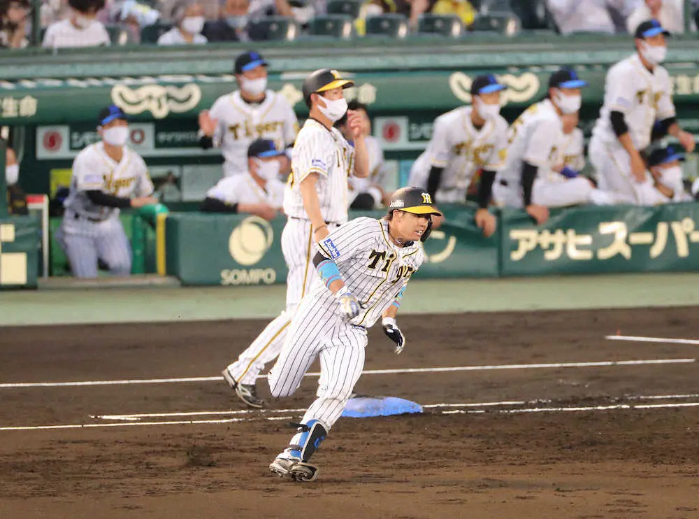 【画像・写真】阪神・梅野　侍選出“御礼打”東京五輪でも「自分らしさどんどん出したい」　背番号は7に決定
