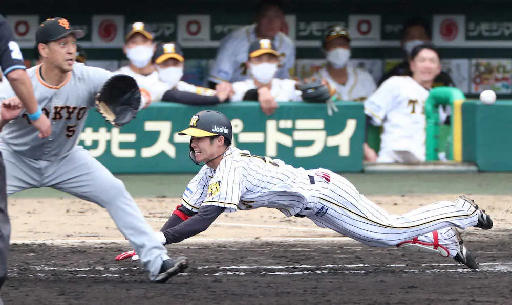 【画像・写真】【内田雅也の追球】塁間距離が示す真理　阪神が見せた全精力を傾ける姿勢