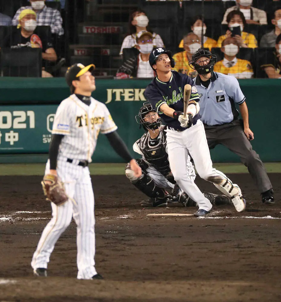 【画像・写真】五輪代表対決　今度はヤクルト・山田が阪神・岩崎から20号ソロ