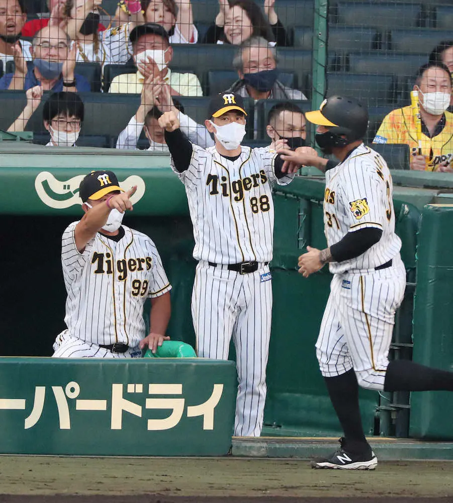 【画像・写真】自ら安打の青柳に驚きも「目の前のことを全力でやるのが彼の良さ」　阪神・矢野監督語録