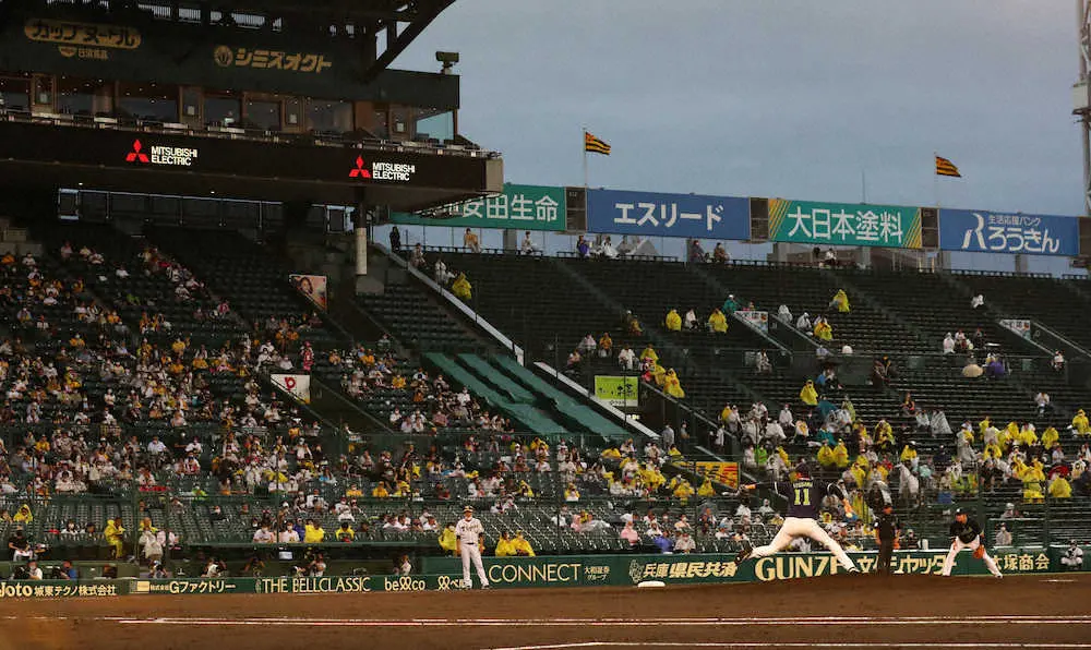 【画像・写真】ヤクルト奥川　679日ぶり甲子園で力投、プロ最長タイ7回4安打1失点