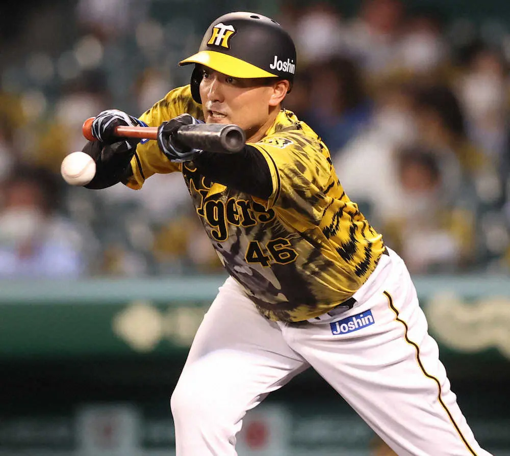【画像・写真】阪神　7勝目の秋山が「墓場まで持って行こうと思っていた」というエピソード明かす