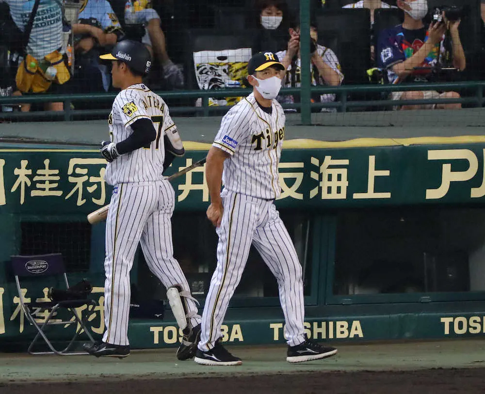 【画像・写真】後半戦の展望を明るくするベテラン糸井の健在　阪神・矢野監督と一問一答