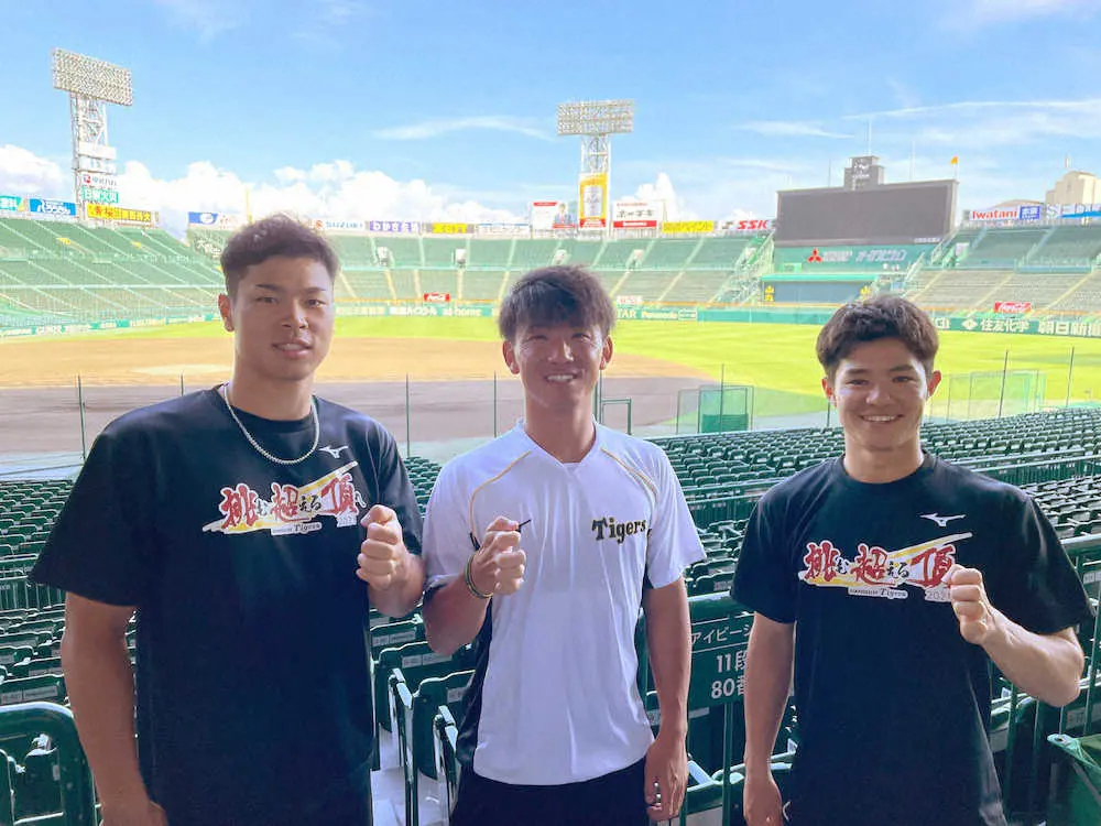 阪神タイガース公式YouTubeチャンネルでスペシャル対談企画を行った（左から）佐藤輝、伊藤将、中野（球団提供）