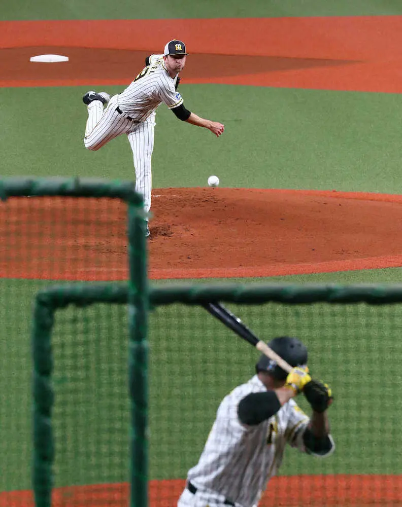 【画像・写真】阪神・ガンケル　シート打撃登板を振り返り「良いボールを投げることができた」