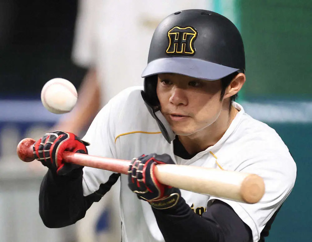 阪神 中野 甲子園16強の母校 日大山形から いい刺激 自分たちの4強を超えてほしい スポニチ Sponichi Annex 野球