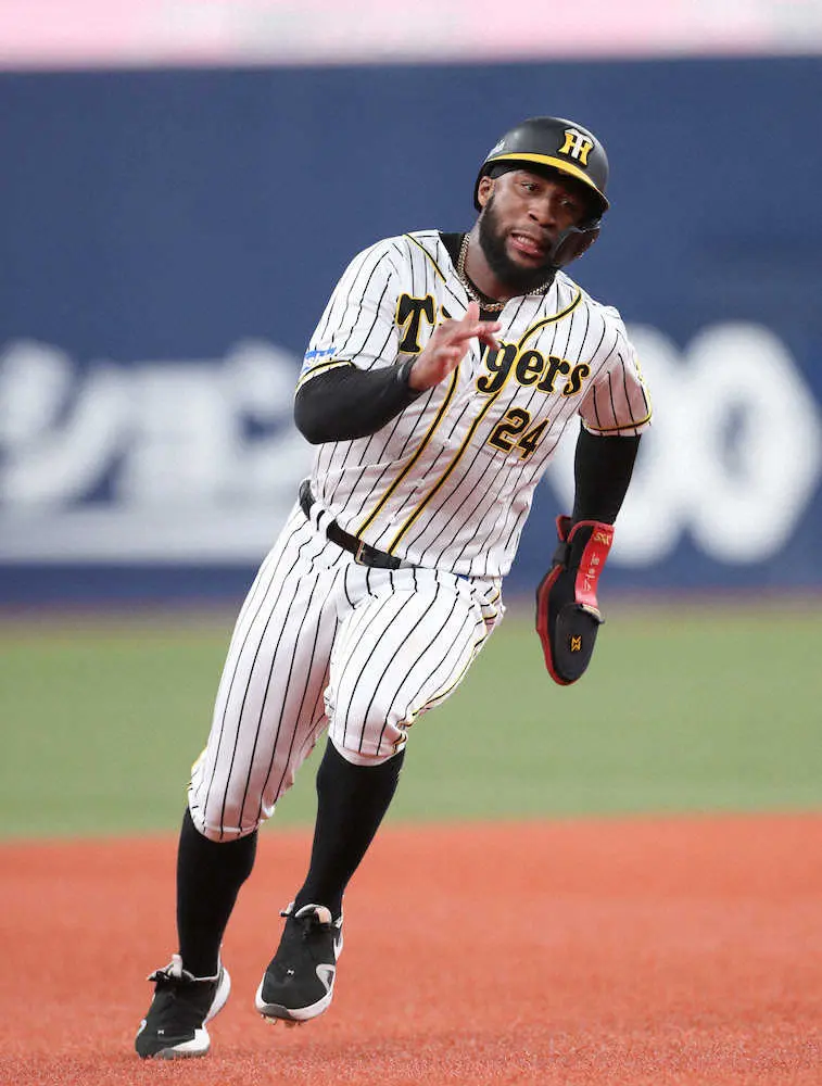 【画像・写真】試合ごとに大きくなる阪神・ロハスの存在感　8回に2戦連発となる4号ソロ