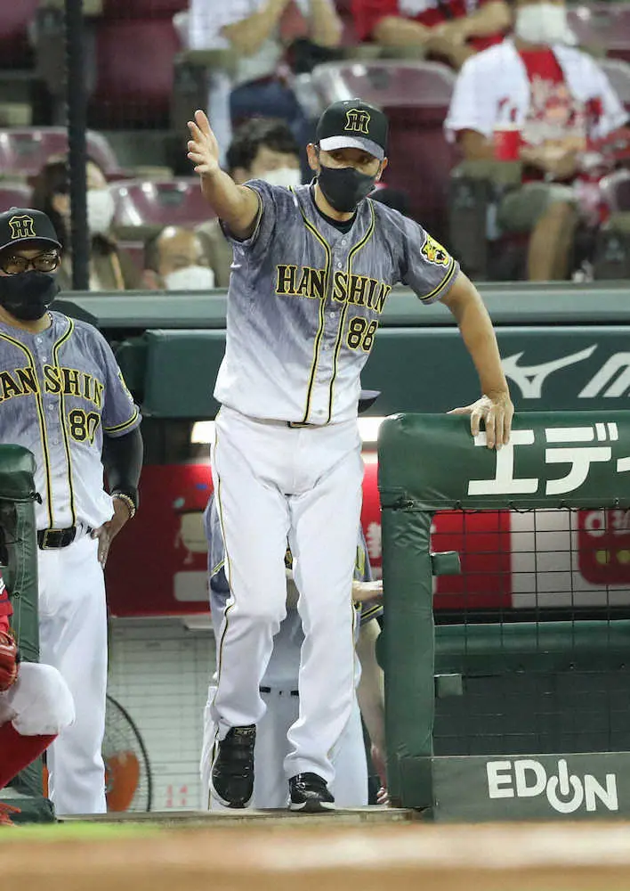【画像・写真】一気に3位転落の阪神・矢野監督「落ち込む必要もない」　久々の甲子園から巻き返し誓う