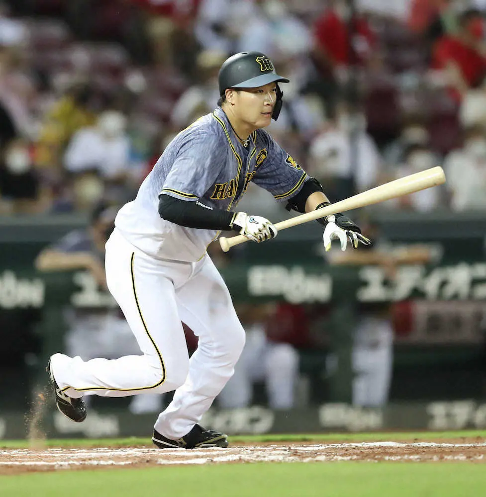 【画像・写真】阪神・大山　（撮影・成瀬　徹）　