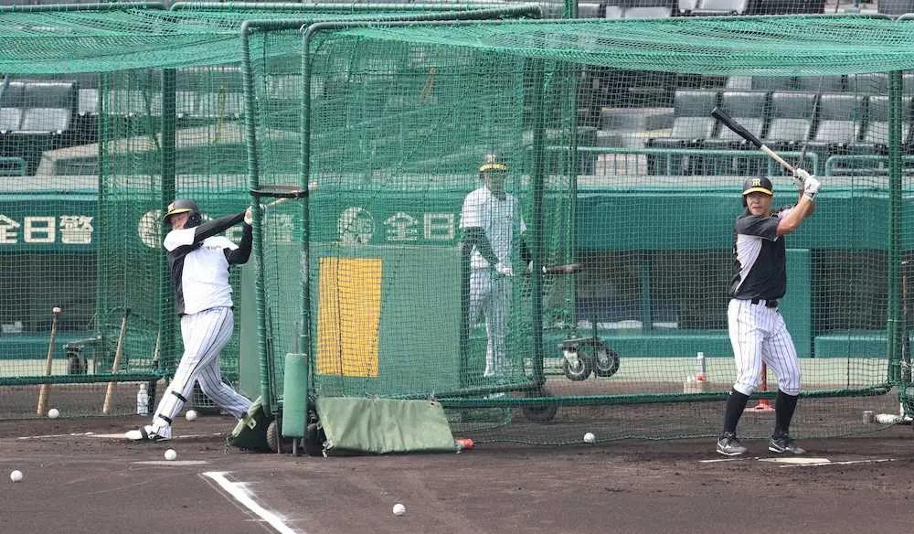 【画像・写真】阪神・大山、佐藤輝が連日の早出特打　前夜は揃ってスタメン落ち不振脱出へ振り込み