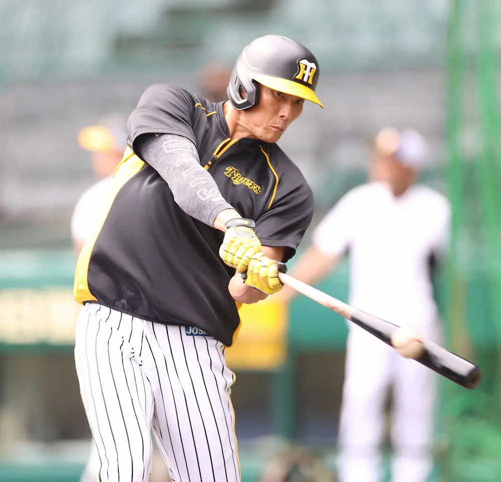 【画像・写真】阪神・糸井が6月13日以来の先発　33打席無安打の佐藤輝はベンチスタート　ヤクルト戦スタメン