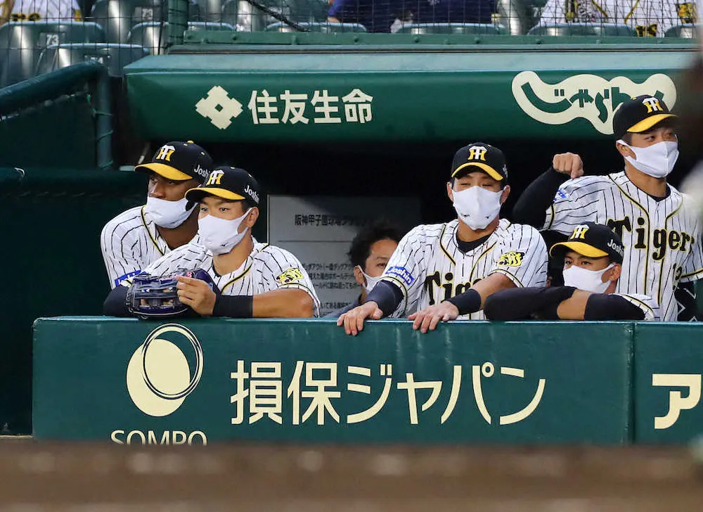 【画像・写真】阪神・佐藤輝　2試合連続で欠場　出番は巡ってこず…　現在33打席無安打中