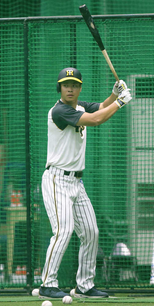 阪神 佐藤輝 1軍早期復帰へフォーム改造に着手 グリップ位置下げて調子上げるで スポニチ Sponichi Annex 野球