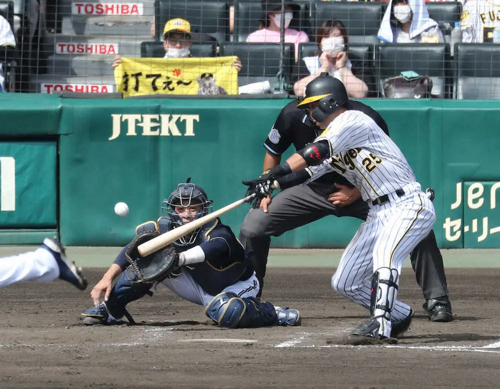 【画像・写真】阪神2軍　3年ぶりのウエスタン・リーグ優勝！