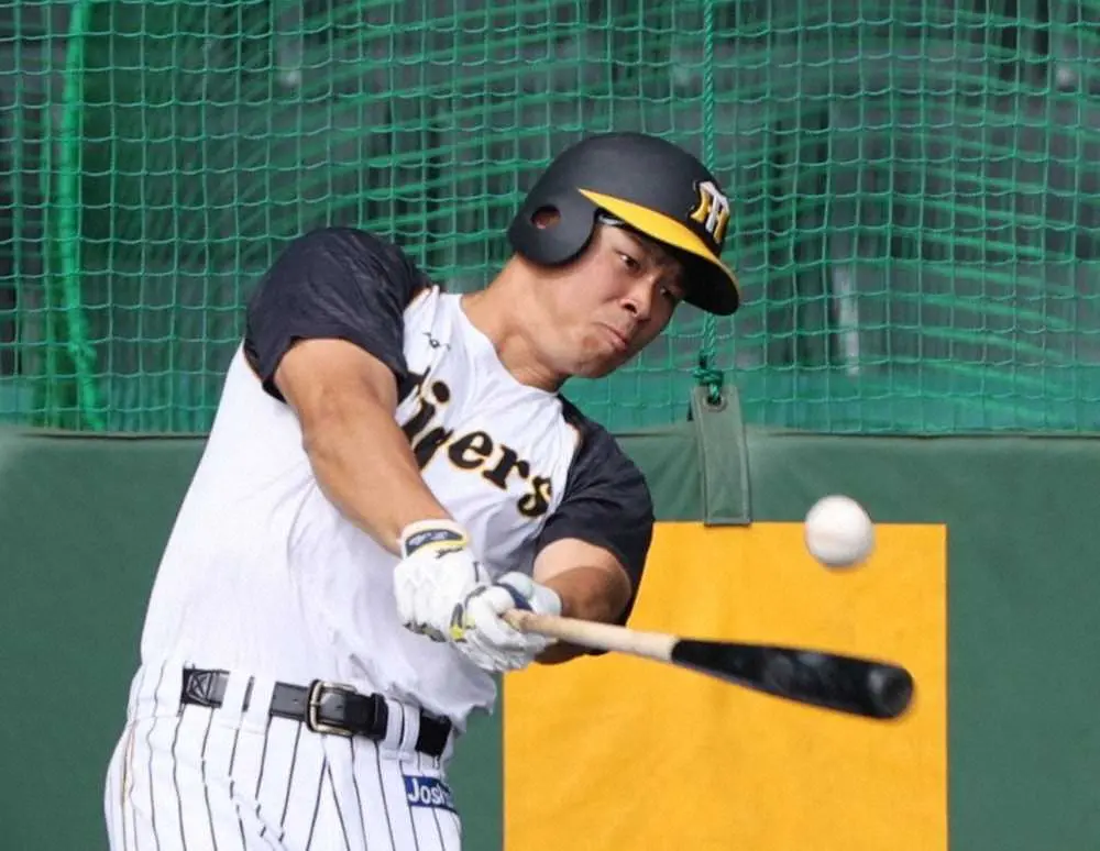 【画像・写真】阪神　佐藤輝、梅野の主力2人が早出特打で振り込む…打線は前夜2安打零敗