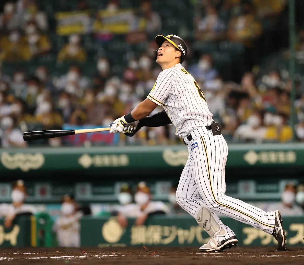 【画像・写真】聖地もため息…阪神・佐藤輝　プロ野手ワーストの54打席無安打　9月無安打の可能性も