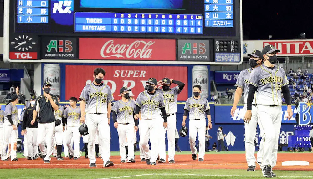 日本限定 阪神ヤクルト その他 日本限定 阪神ヤクルト その他