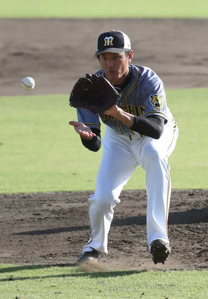 【画像・写真】虎弟はひと足先に日本一決戦へ　阪神・平田2軍監督「抑えは、藤浪とかいろいろ。投手コーチに任せる」