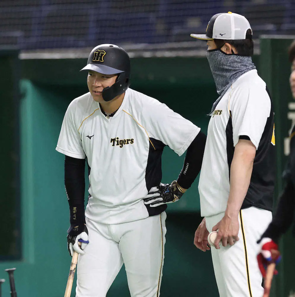 【画像・写真】阪神・大山　背中の張りで欠場　矢野監督「無理させられないような状態」7日DeNA戦の死球影響か