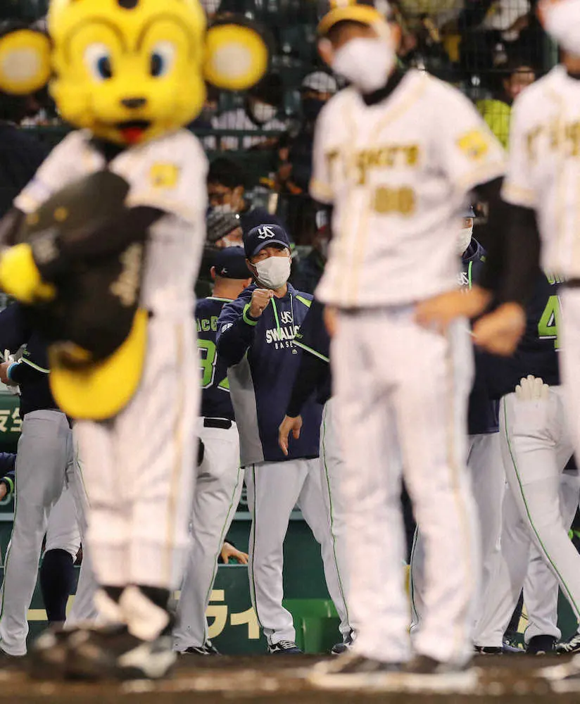 【画像・写真】ヤクルト、ドローで22日神宮で胴上げへ前進M3　高橋が高津監督仕込みチェンジアップ駆使して7回零封