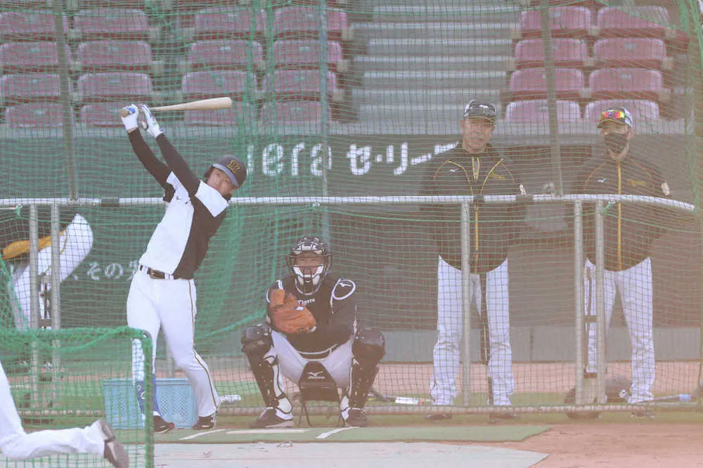 【画像・写真】右ハムストリング負傷の阪神・近本が今季初ベンチスタート　糸原、マルテ、木浪のクリーンアップ